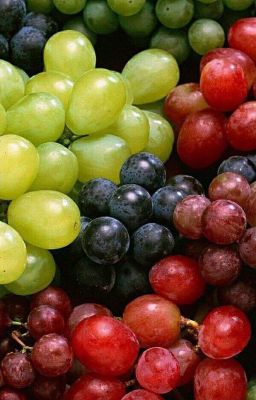 bmas; masonb | grape 