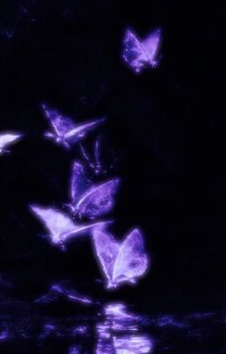 ( BNHA x OP) Chuyện tình ta