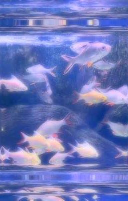 boy for rent. lck couples