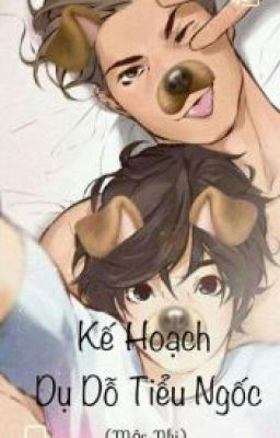 (Boylove) Kế Hoạch Dụ Dỗ Tiểu Ngốc