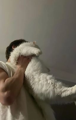 boynextdoor | inside him