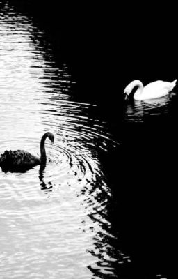 [ Bùi Trường Linh x Đặng Thành An ] Black Swan Lake