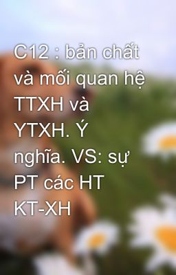 C12 : bản chất và mối quan hệ TTXH và YTXH. Ý nghĩa. VS: sự PT các HT KT-XH