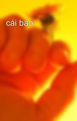 cái bảo