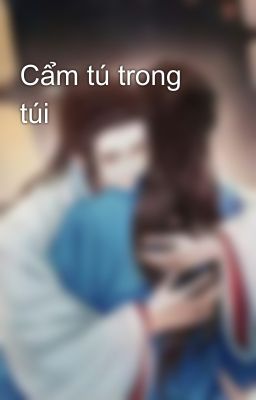 Cẩm tú trong túi