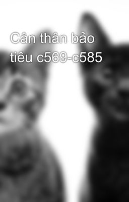 Cân thân bảo tiêu c569-c585