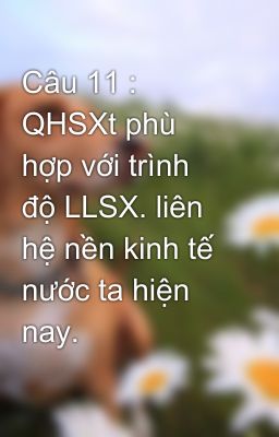 Câu 11 : QHSXt phù hợp với trình độ LLSX. liên hệ nền kinh tế nước ta hiện nay.