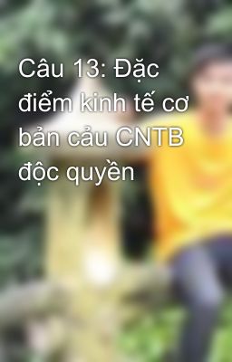 Câu 13: Đặc điểm kinh tế cơ bản cảu CNTB độc quyền