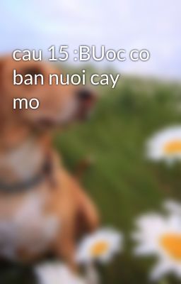 cau 15 :BUoc co ban nuoi cay mo