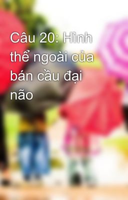 Câu 20: Hình thể ngoài của bán cầu đại não