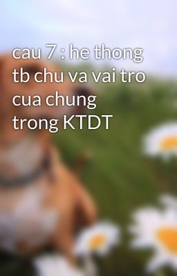 cau 7 : he thong tb chu va vai tro cua chung trong KTDT