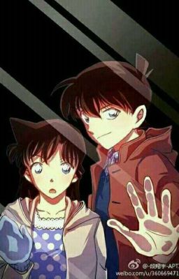 Câu chuyện tình yêu của Ran và Shinichi