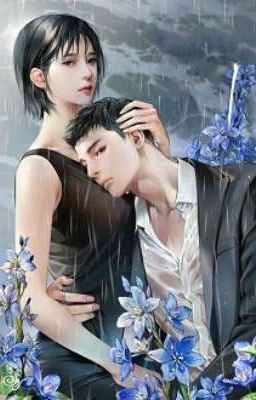 CÂU DẪN CỰC ĐỘ-CONVER