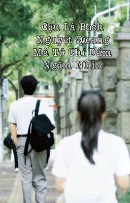 Cậu Là Bạch Nguyệt Quang Mà Tớ Chỉ Dám Ngắm Nhìn