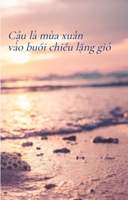 Cậu là mùa xuân vào buổi chiều lặng gió