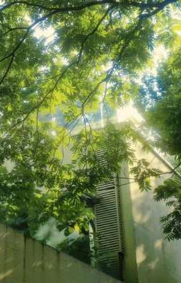 Cậu là niềm vui của tuổi trẻ