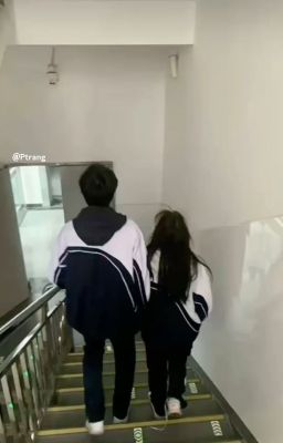 Cậu là thanh xuân của tôi