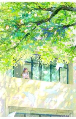 Chạm Vào Thanh Xuân