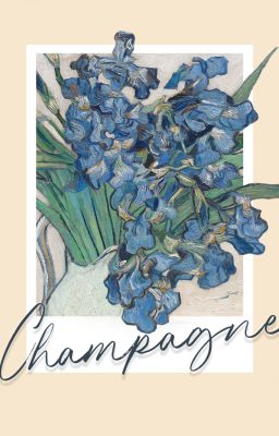 Champagne (sủi tăm ngọt, gỗ thì trĩu)