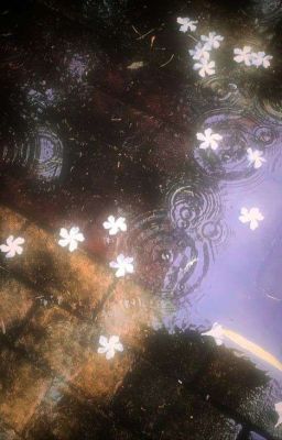 chanseung - winter falls.