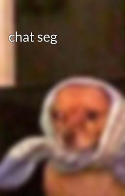 chat seg 