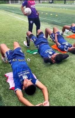 chim nổi trên sân cỏ 