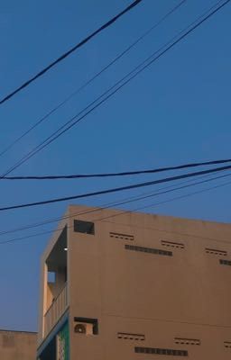 Cho tôi hỏi về em được không?