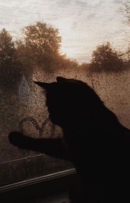 [Choker, Guria] Tu hú chiếm tổ