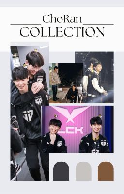 ChoRan || Có Con Mèo Cam Và Con Sóc Nâu