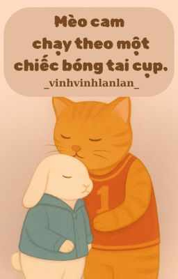 choran | mèo cam chạy theo một chiếc bóng tai cụp