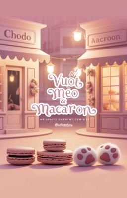 Choran| Vuốt mèo và macaron