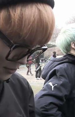 chú chó holly và ánh nắng mùa thu[yoonmin]