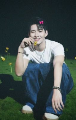 Chữa lành những tâm hồn sắp rách