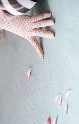 chuchuz ♫⋆paper rings