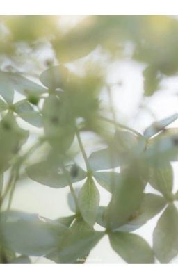 chúng ta sẽ chết ở tuổi mười sáu