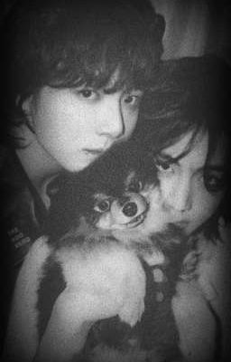 Chúng ta trong một thành phố cũ