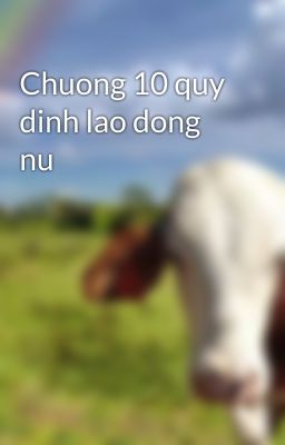 Chuong 10 quy dinh lao dong nu