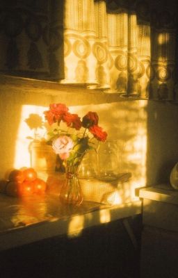 chuyện chúng mình trong mơ...