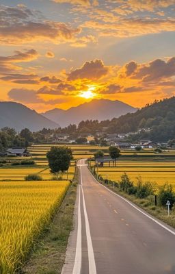 Chuyến đi đường dài