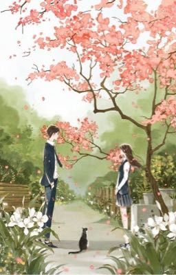 Chuyện tình Aiko