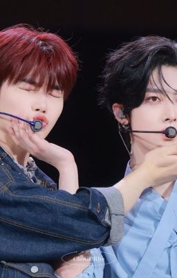 chuyện tình mèo và gấu 🐱🐻