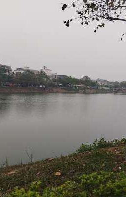 Chuyện tình thanh xuân của tôi 