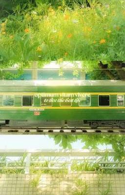 Chuyến xe buýt không Hồi Kết 