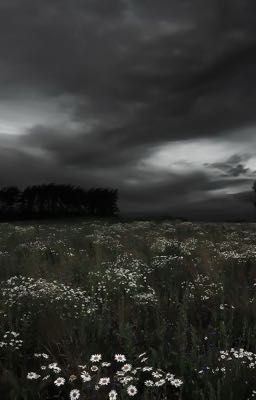 Cigarrette After Sex