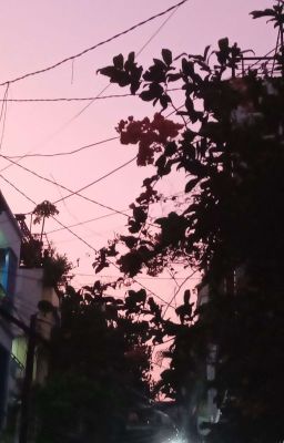 Có Cách Nào Để Sống