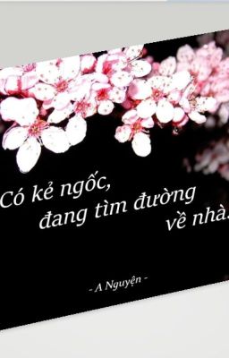 Có kẻ ngốc, đang tìm đường về nhà