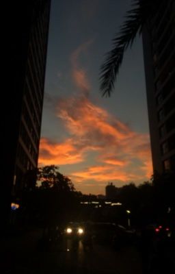 Có một ngày của riêng ta