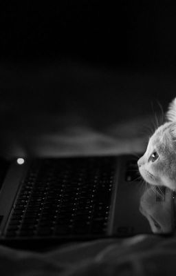 Có một người luôn ở trong tim