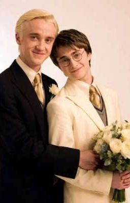 Cô vợ nuôi từ bé