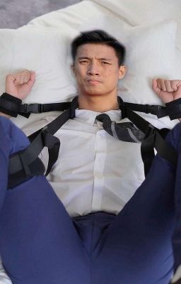 Con bot của đội tuyển